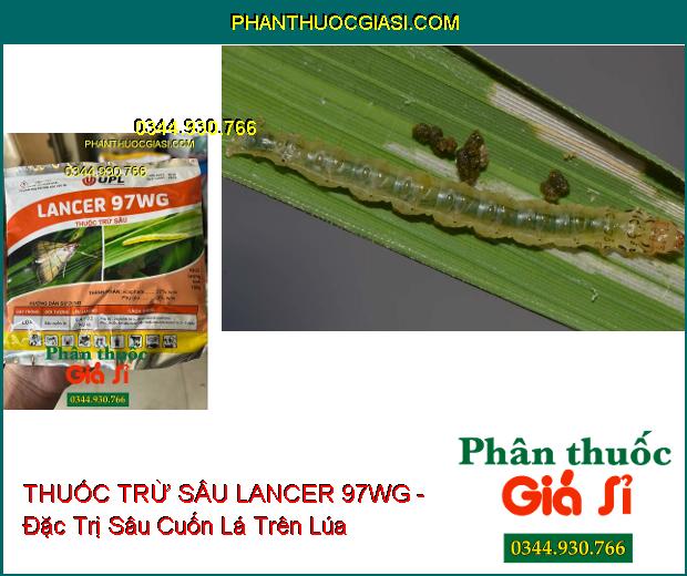 THUỐC TRỪ SÂU LANCER 97WG - Đặc Trị Sâu Cuốn Lá Trên Lúa