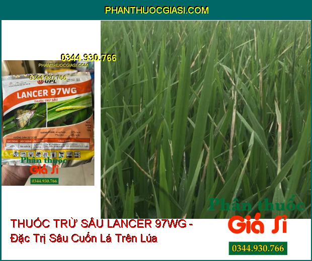 THUỐC TRỪ SÂU LANCER 97WG - Đặc Trị Sâu Cuốn Lá Trên Lúa