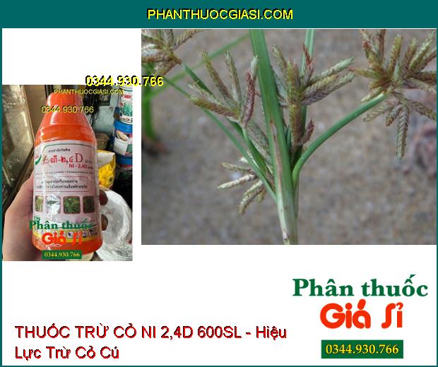 THUỐC TRỪ CỎ NI 2,4D 600SL - Hiệu Lực Trừ Tất Cả Các Loại Cỏ Khó Trị