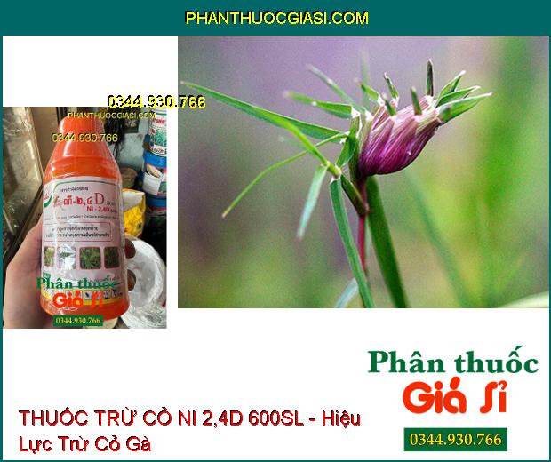 THUỐC TRỪ CỎ NI 2,4D 600SL - Hiệu Lực Trừ Tất Cả Các Loại Cỏ Khó Trị