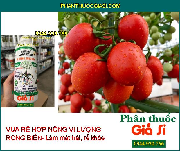 HN11-BIOMIC VUA RỄ HỢP NÔNG VI LƯỢNG RONG BIỂN