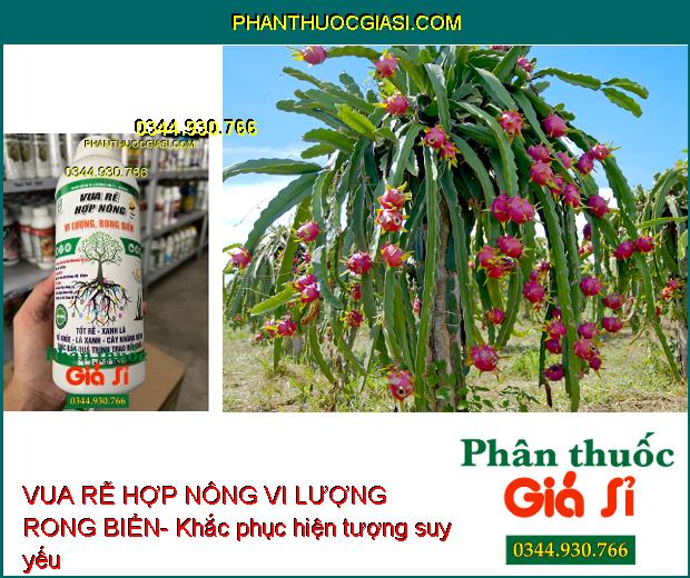 HN11-BIOMIC VUA RỄ HỢP NÔNG VI LƯỢNG RONG BIỂN