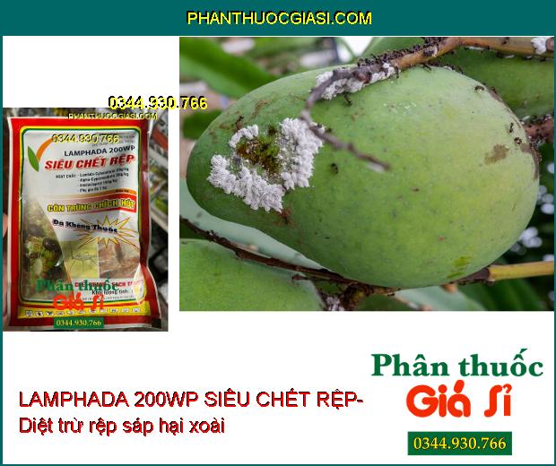 LAMPHADA 200WP SIÊU CHẾT RỆP