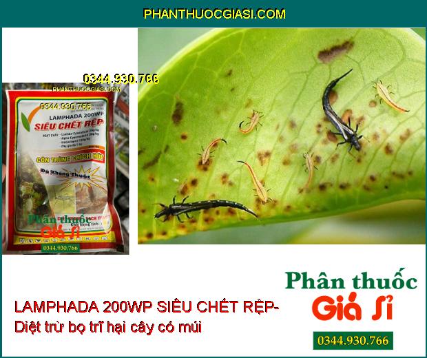 LAMPHADA 200WP SIÊU CHẾT RỆP