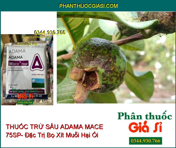 THUỐC TRỪ SÂU ADAMA MACE 75SP- Đặc Trị Côn Trùng Chích Hút