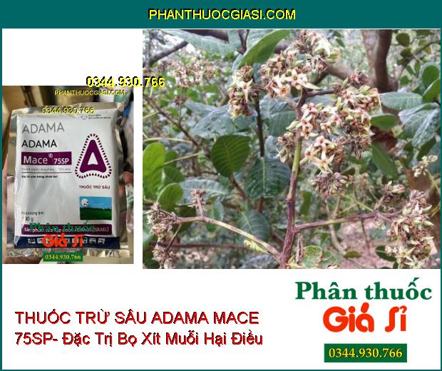 THUỐC TRỪ SÂU ADAMA MACE 75SP- Đặc Trị Côn Trùng Chích Hút