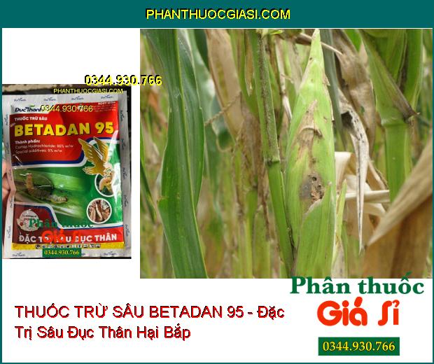 THUỐC TRỪ SÂU BETADAN 95 - Đặc Trị Sâu Đục Thân