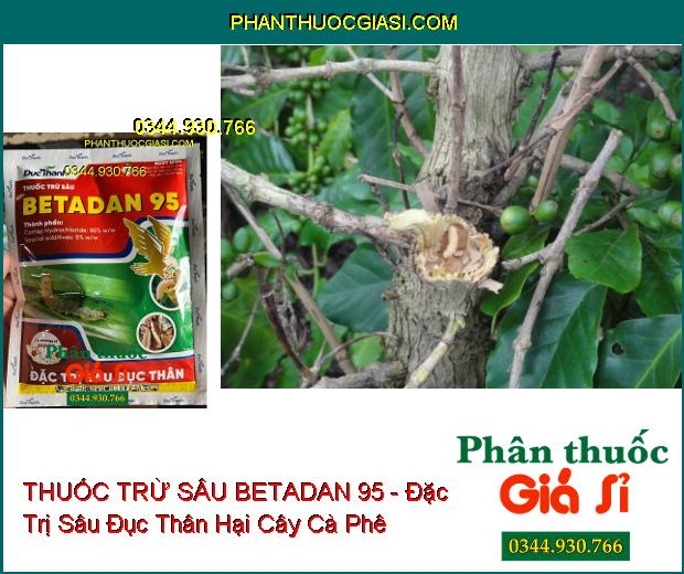 THUỐC TRỪ SÂU BETADAN 95 - Đặc Trị Sâu Đục Thân