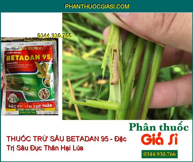 THUỐC TRỪ SÂU BETADAN 95 - Đặc Trị Sâu Đục Thân