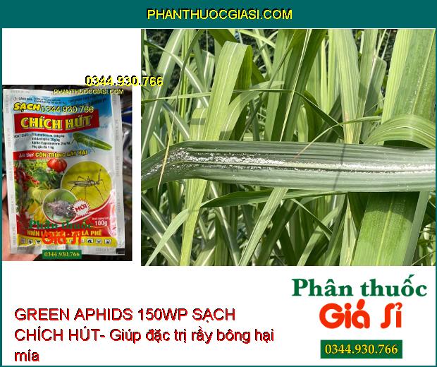 GREEN APHIDS 150WP SẠCH CHÍCH HÚT