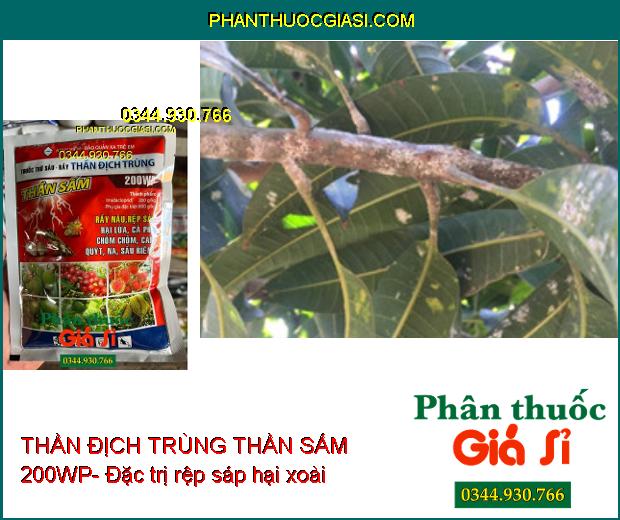 THẦN ĐỊCH TRÙNG THẦN SẤM 200WP