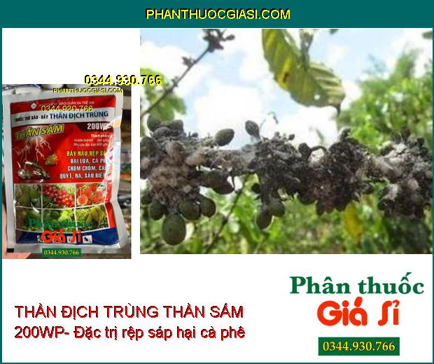 THẦN ĐỊCH TRÙNG THẦN SẤM 200WP