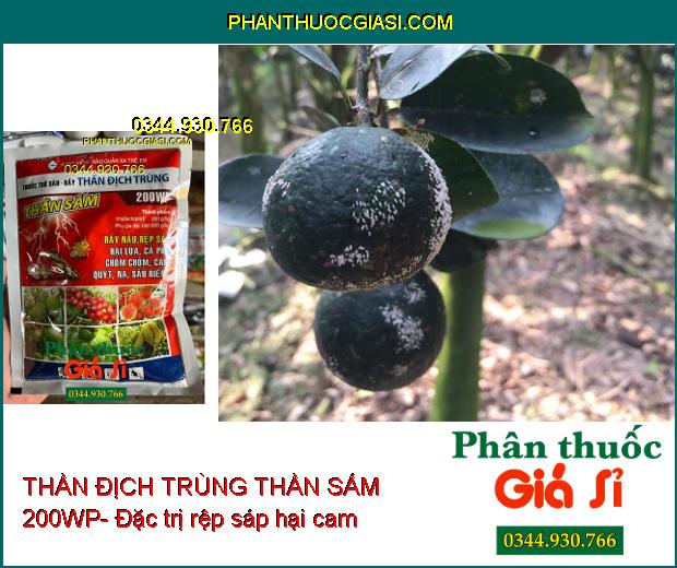 THẦN ĐỊCH TRÙNG THẦN SẤM 200WP