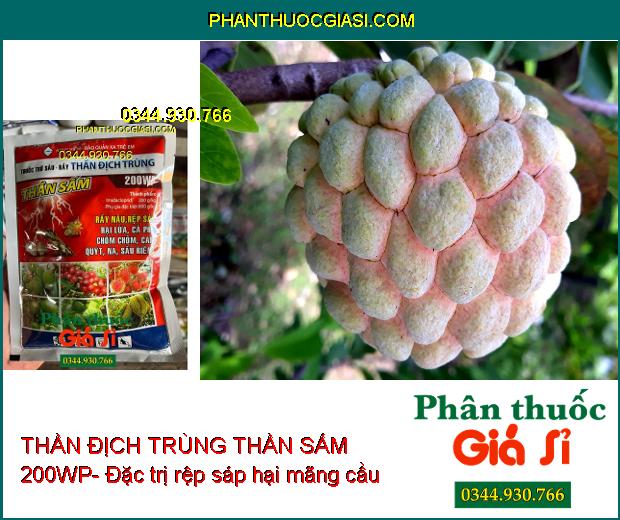 THẦN ĐỊCH TRÙNG THẦN SẤM 200WP