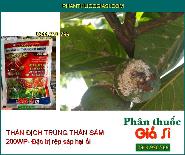 THẦN ĐỊCH TRÙNG THẦN SẤM 200WP