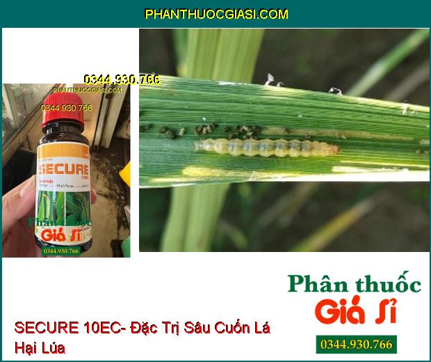 SECURE 10EC- Đặc Trị Sâu Cuốn Lá Trên Lúa- Sâu Xanh Da Láng Trên Đậu