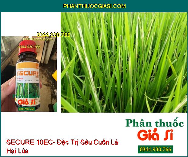 SECURE 10EC- Đặc Trị Sâu Cuốn Lá Trên Lúa- Sâu Xanh Da Láng Trên Đậu