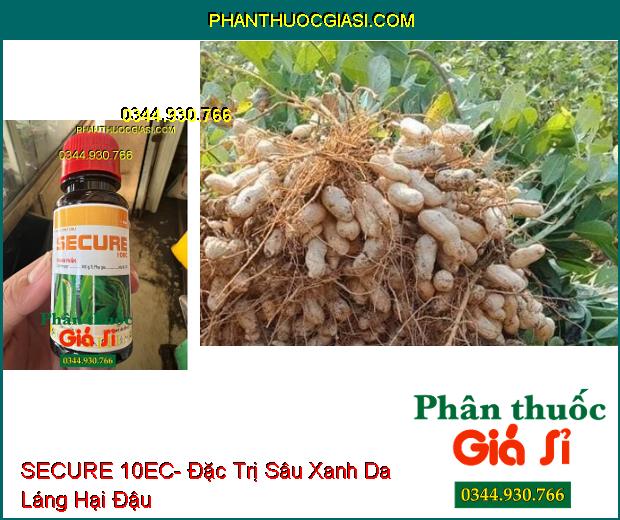 SECURE 10EC- Đặc Trị Sâu Cuốn Lá Trên Lúa- Sâu Xanh Da Láng Trên Đậu