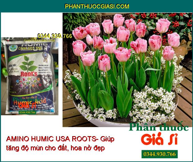 AMINO HUMIC USA ROOTS