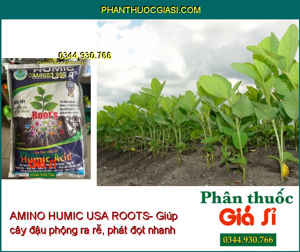 AMINO HUMIC USA ROOTS