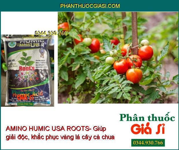 AMINO HUMIC USA ROOTS