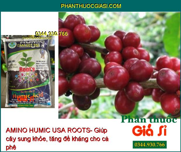 AMINO HUMIC USA ROOTS