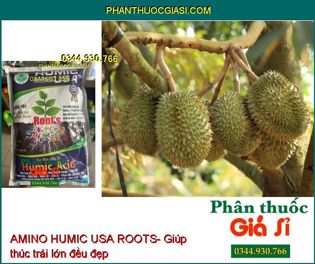 AMINO HUMIC USA ROOTS