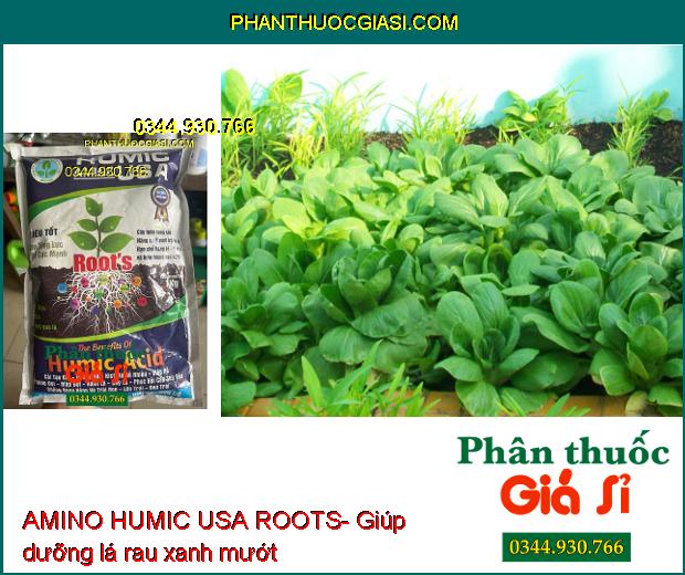 AMINO HUMIC USA ROOTS