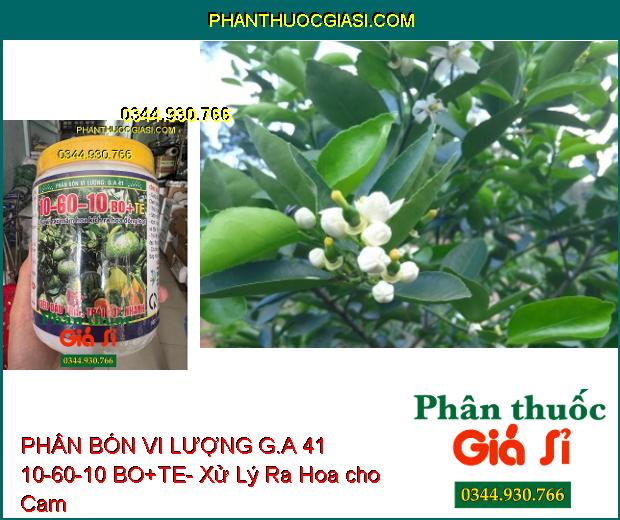 PHÂN BÓN VI LƯỢNG G.A 41 10-60-10 BO+TE