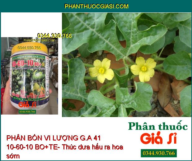 PHÂN BÓN VI LƯỢNG G.A 41 10-60-10 BO+TE