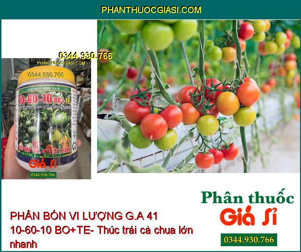 PHÂN BÓN VI LƯỢNG G.A 41 10-60-10 BO+TE