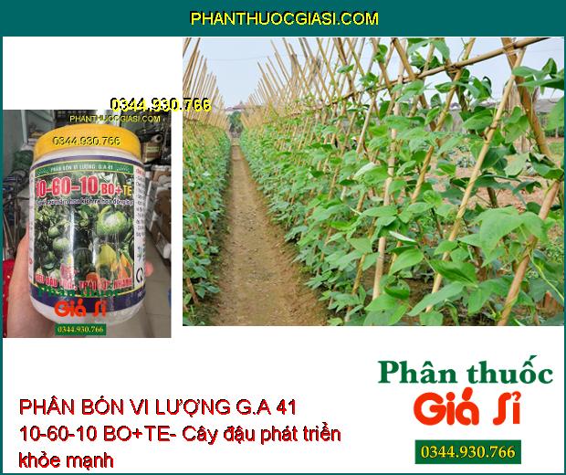 PHÂN BÓN VI LƯỢNG G.A 41 10-60-10 BO+TE