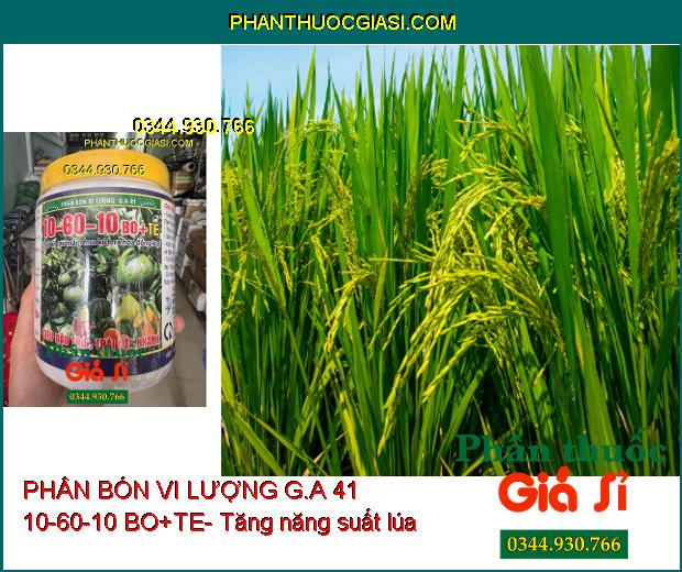 PHÂN BÓN VI LƯỢNG G.A 41 10-60-10 BO+TE