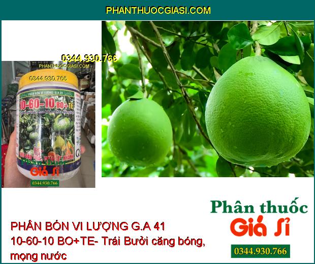 PHÂN BÓN VI LƯỢNG G.A 41 10-60-10 BO+TE