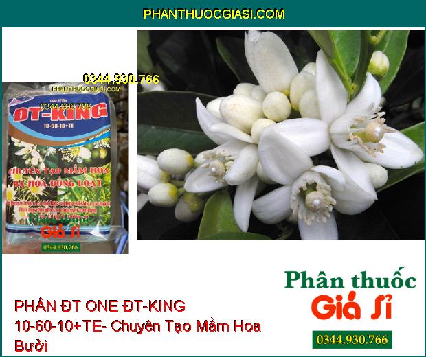 PHÂN ĐT ONE ĐT-KING 10-60-10+TE- Chuyên Tạo Mầm Hoa- Ra Hoa Đồng Loạt