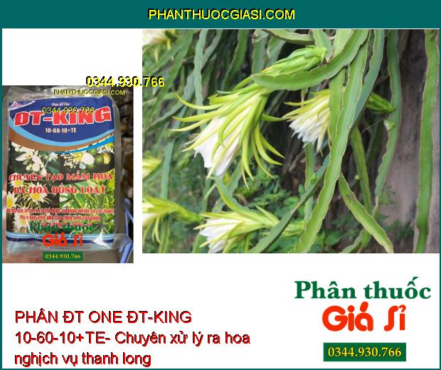 PHÂN ĐT ONE ĐT-KING 10-60-10+TE- Chuyên Tạo Mầm Hoa- Ra Hoa Đồng Loạt