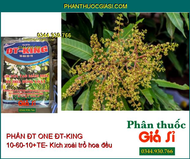 PHÂN ĐT ONE ĐT-KING 10-60-10+TE- Chuyên Tạo Mầm Hoa- Ra Hoa Đồng Loạt