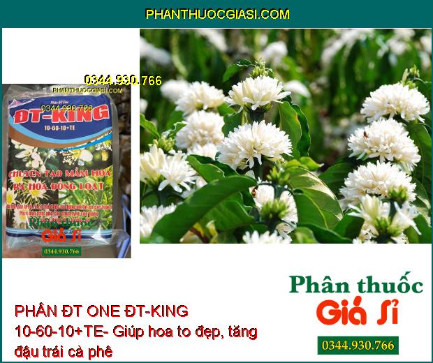 PHÂN ĐT ONE ĐT-KING 10-60-10+TE- Chuyên Tạo Mầm Hoa- Ra Hoa Đồng Loạt