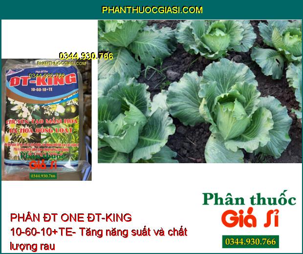 PHÂN ĐT ONE ĐT-KING 10-60-10+TE- Chuyên Tạo Mầm Hoa- Ra Hoa Đồng Loạt