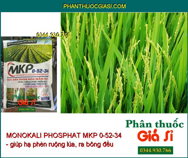 MONOKALI PHOSPHAT MKP 0-52-34 - Chặn Đọt- Thúc Đẩy Phân Hóa Mầm Hoa