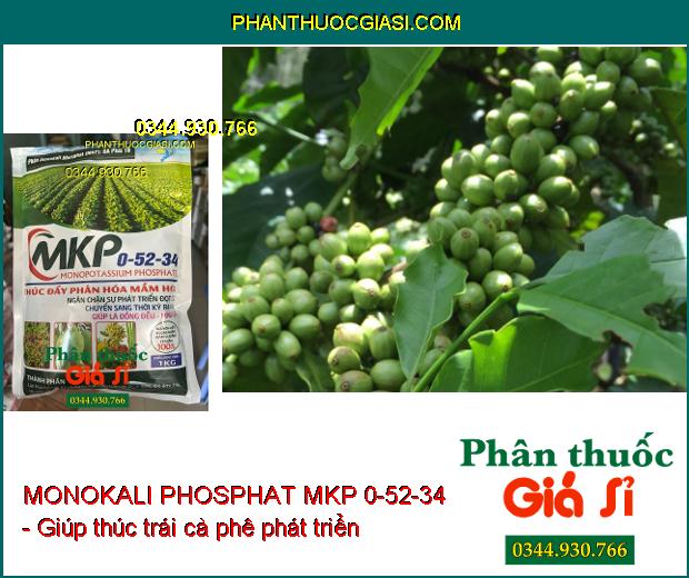 MONOKALI PHOSPHAT MKP 0-52-34 - Chặn Đọt- Thúc Đẩy Phân Hóa Mầm Hoa