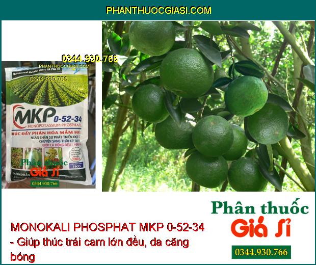 MONOKALI PHOSPHAT MKP 0-52-34 - Chặn Đọt- Thúc Đẩy Phân Hóa Mầm Hoa