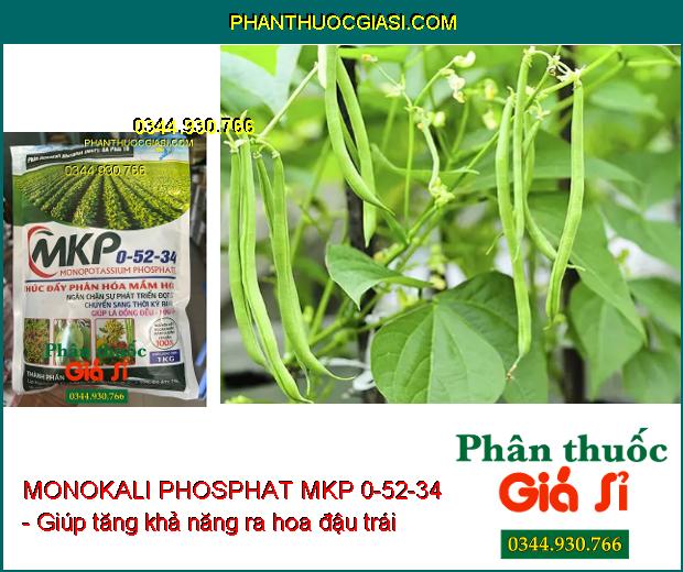 MONOKALI PHOSPHAT MKP 0-52-34 - Chặn Đọt- Thúc Đẩy Phân Hóa Mầm Hoa