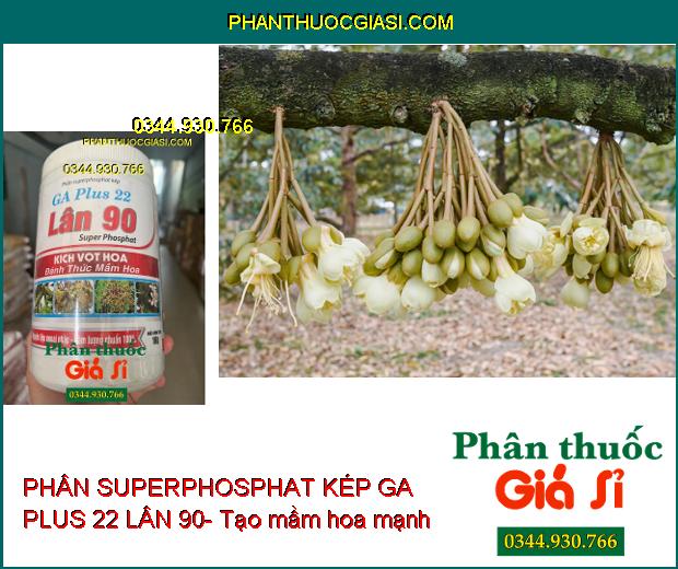 PHÂN SUPERPHOSPHAT KÉP GA PLUS 22 LÂN 90