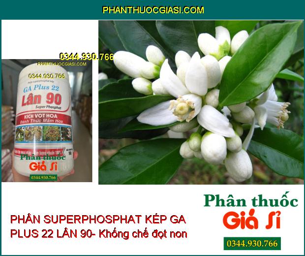 PHÂN SUPERPHOSPHAT KÉP GA PLUS 22 LÂN 90