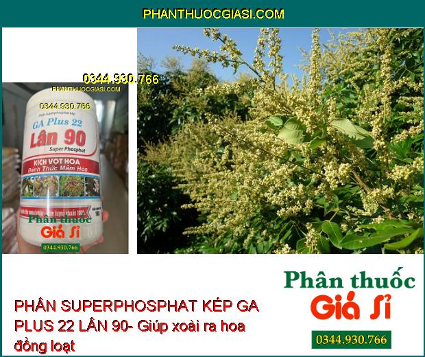 PHÂN SUPERPHOSPHAT KÉP GA PLUS 22 LÂN 90