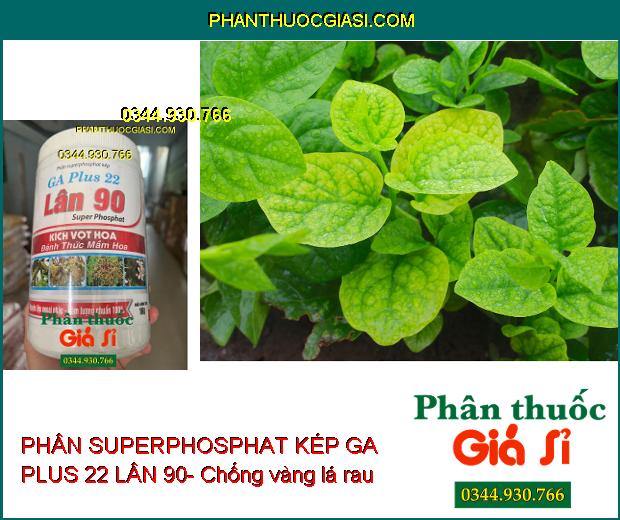 PHÂN SUPERPHOSPHAT KÉP GA PLUS 22 LÂN 90