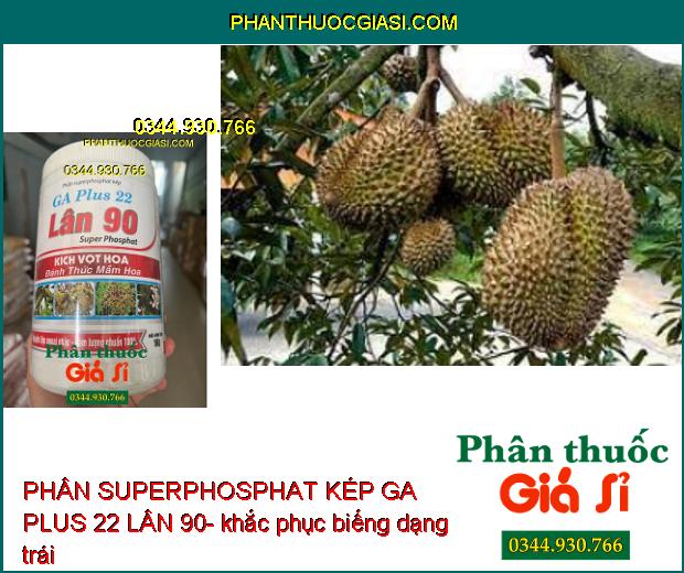 PHÂN SUPERPHOSPHAT KÉP GA PLUS 22 LÂN 90