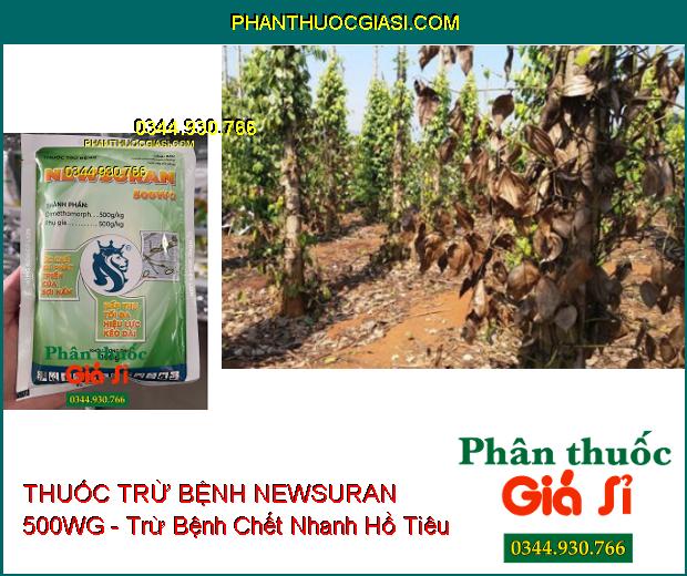 THUỐC TRỪ BỆNH NEWSURAN 500WG - Trừ Bệnh Chết Nhanh Hồ Tiêu