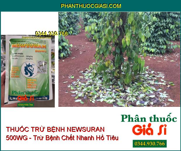 THUỐC TRỪ BỆNH NEWSURAN 500WG - Trừ Bệnh Chết Nhanh Hồ Tiêu